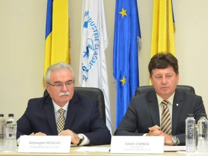 Aradul și Verona dezvoltă proiecte comune în afaceri, turism, cultură și sport