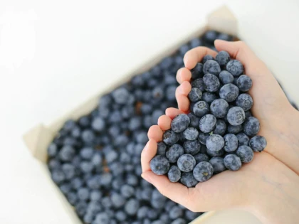 Aronia vs. afinele: care este mai bogat în antioxidanți?