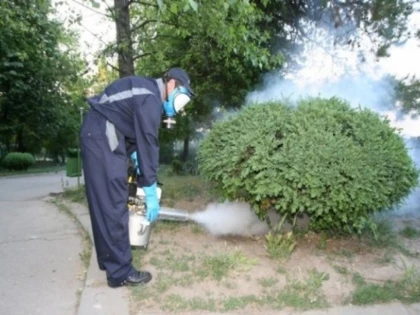 Atenție, arădeni! GCA va trata chimic gazonul şi plantele din parcuri pentru eliminarea mucegaiului