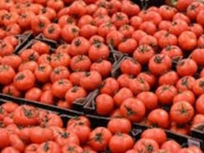 ATENTIE LA ROSIILE DIN IORDANIA! ZECI DE TONE AU FOST INFESTATE CU PESTICIDE