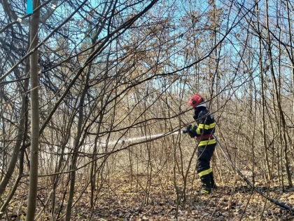 Atenționare – risc major de propagare a incendiilor de vegetație în contextul codului roșu de vijelii în vigoare