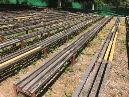 Au ars iarba de la Teatrul de vară din Moneasa, în loc să o tundă