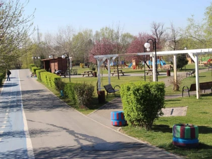 Au spart o căsuță din Parcul Europa și au furat electronice