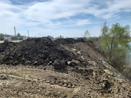 Autoritățile locale au găsit „soluția" la Ghioroc: acoperă mizeria cu pământ. Dezastrul ecologic capătă amploare
