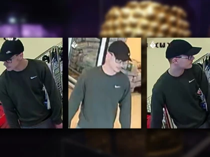 Autoritățile olandeze publică imagini cu un posibil suspect în furtul tezaurului dacic
