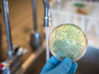 Bacteria care consumă metal, descoperită accidental după 100 de ani