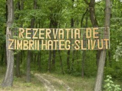 BAIETII DESTEPTI DE LA UTA BD S-AU INDRAGOSTIT DE ZIMBRI