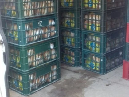 Bărbat de 36 de ani, prins transportând ilegal produse de panificație la Moneasa