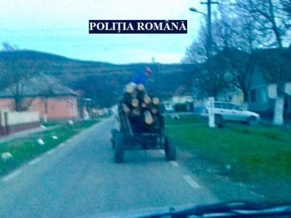 Bărbat din Cuvin, prins transportând ilegal lemne la Ghioroc