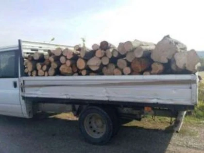 Bărbat din Șilindia, prins transportând ilegal lemne