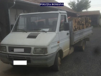 Bărbat din Zăbrani, prins după ce a transportat de mai multe ori lemne cu același aviz
