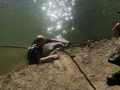 Bărbat înecat, găsit în râul Mureș, în apropiere de Maranata