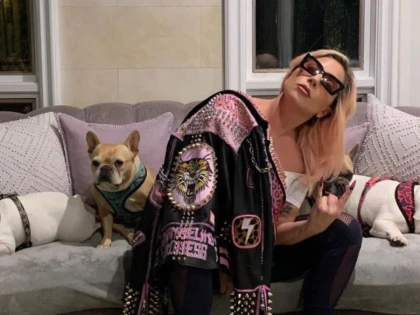 Bărbatul care a furat câinii lui Lady Gaga va petrece următorii 21 de ani după gratii