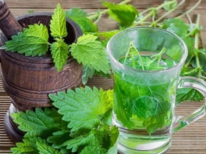 Beneficiile extraordinare ale ceaiului de urzică