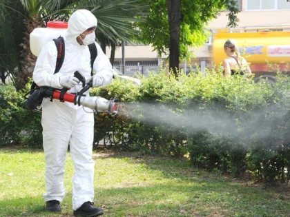 Bibarț recomandă tuturor cetăţenilor să se ocupe de dezinsecție, dacă vor să scape de țânțari