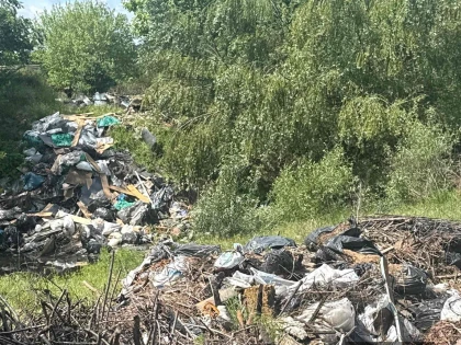 Bombă ecologică pe malul Mureșului, la Vladimirescu
