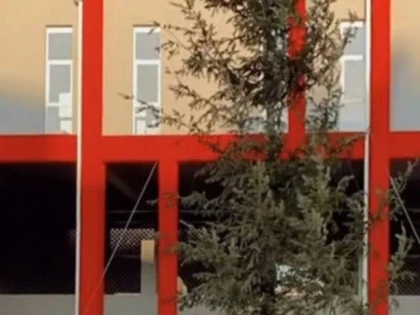 Bradul lui Bibarţ a leşinat după rezultatul PNL Arad de la alegeri