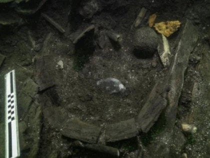 Cadavrul unui sturion atlantic, vechi de 500 de ani, găsit în epava unei nave regale daneze