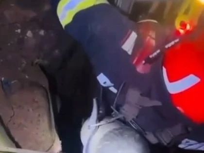Câine salvat de pompieri dintr-o fântână, la Ususău