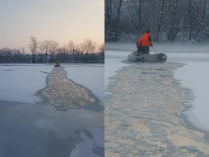 Câine salvat de pompierii arădeni din apa înghețată a bălții Ghilin