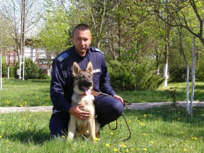 CAINELE SUN, NOUL COLEG AL JANDARMILOR ARADENI