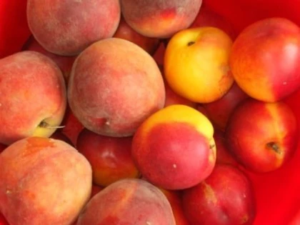 CAISE ȘI NECTARINE PROVENITE DIN TURCIA, CU PESTICIDE PESTE LIMITA ADMISĂ