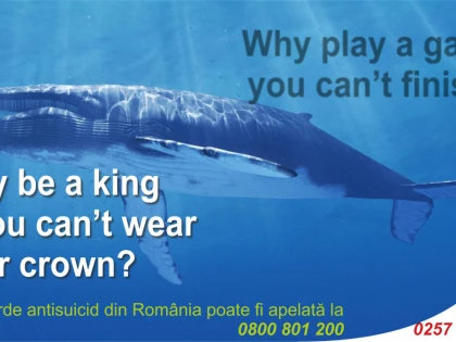 Campanie de informare a arădenilor privind riscurile jocului “Balena albastră”