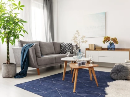 Canapele și fotolii – alegerea potrivită pentru casa ta, pentru un plus de relaxare