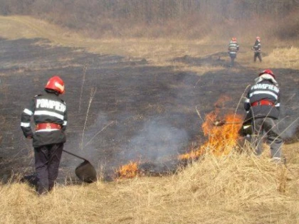 CANICULA A PRODUS O SERIE DE INCENDII. POMPIERII AU CONTRIBUIT LA STINGEREA LOR