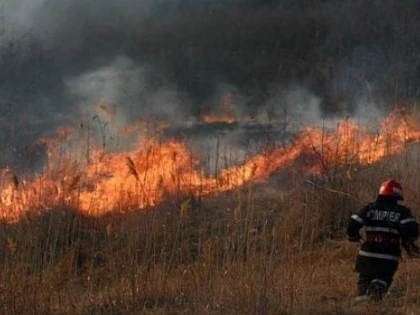 CANICULA DIN ULTIMUL WEEKEND A PUS PROBLEME POMPIERILOR ARADENI