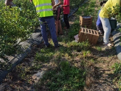 Canicula pune în pericol sănătatea angajaților. ITM Arad a efectuat 178 de controale pentru verificarea măsurilor de protecție