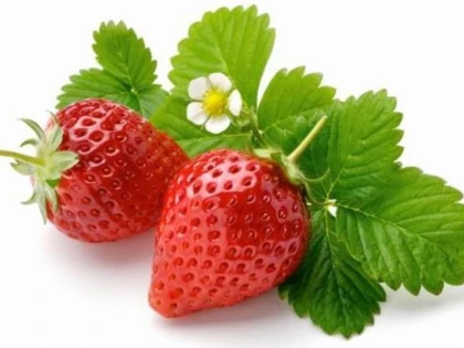 CĂPȘUNILE SUNT O SURSĂ IMPORTANTĂ DE VITAMINA C