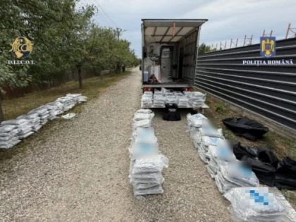 Captură impresionantă de droguri în județul Arad: 170 de kilograme de canabis și 5 kilograme de cocaină