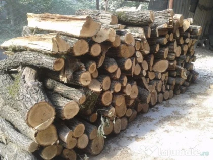 Captură "record" la Gurahonț! Polițiștii au prins un pensionar cu 3 metri cubi de lemne