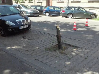 Case fără acoperiş, copaci căzuţi şi drumuri blocate – bilanţul parţial al vijeliei din judeţul Arad
