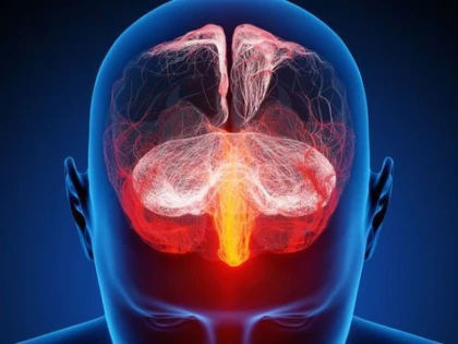 CAUZA BOLII ALZHEIMER AR PUTEA FI TRANSMISIBILA
