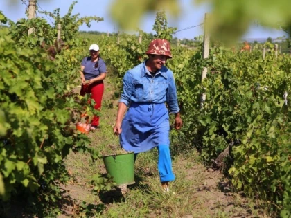 Ce trebuie să știe angajatorii care lucrează cu zilieri