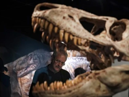 Cea mai nouă descoperire a cercetătorilor despre T. Rex