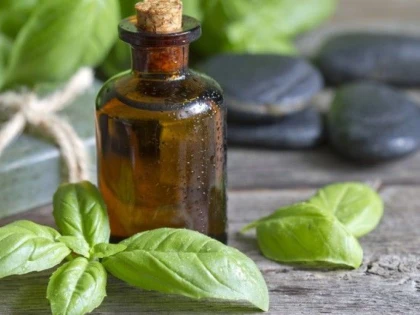 CEAIUL DE BUSUIOC: BENEFICII SI INDICATII TERAPEUTICE