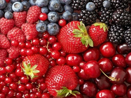 Cele mai bogate alimente în substanțe antioxidante
