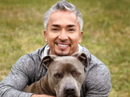 CELEBRUL DRESOR CESAR MILLAN ESTE ACUZAT DE ACTE DE CRUZIME FATA DE ANIMALE