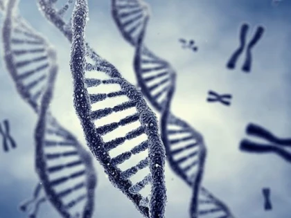 CERCETATORII AU DESCOPERIT CUM POT MODIFICA GENOMUL UNUI ORGANISM. IMPLICATIILE AR PUTEA FI MAJORE