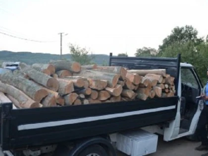 Cetățean maghiar, prins la Ineu transportând ilegal lemne