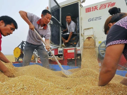 China profită de prețurile mici pentru a cumpăra cantități mari de cereale