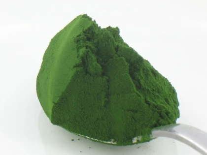 CHLORELLA, CITOSTATICUL NATURAL IMPOTRIVA CANCERULUI