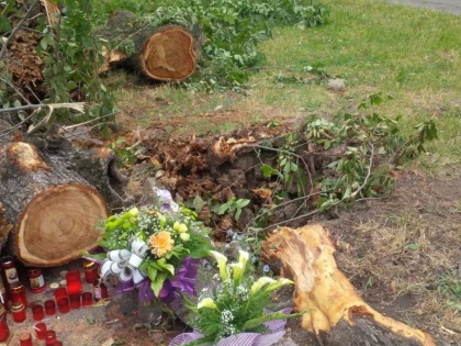 CINE RASPUNDE PENTRU MOARTEA DOCTORULUI BAN ? CETATENII AR FI FACUT SESIZARI CU PRIVIRE LA COPACI