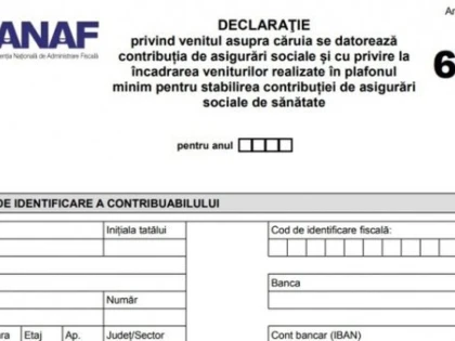 Cine şi cum trebuie să completeze Declarația Unică de venituri