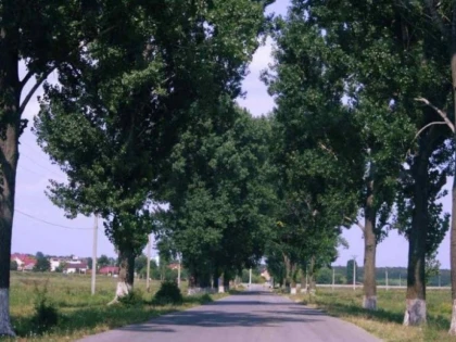 CJA IMPUNE RESTRICTII DE CIRCULATIE AUTOVEHICULELOR DE PESTE 7,5 TONE