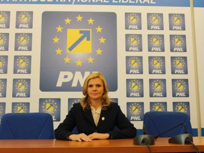 CLAUDIA BOGHICEVICI: "ROVANA PLUMB MINTE CAND SUSTINE CA SPRIJINA PROGRAMUL DE CRESTERE A NUMARULUI DE CAINI INSOTITORI"