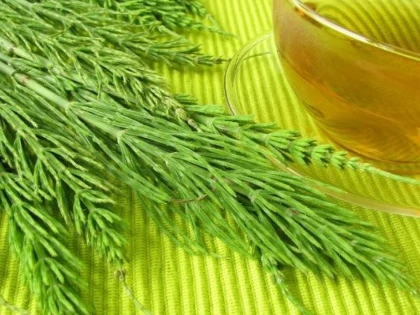 COADA-CALULUI, O SURSĂ BOGATĂ DE MINERALE